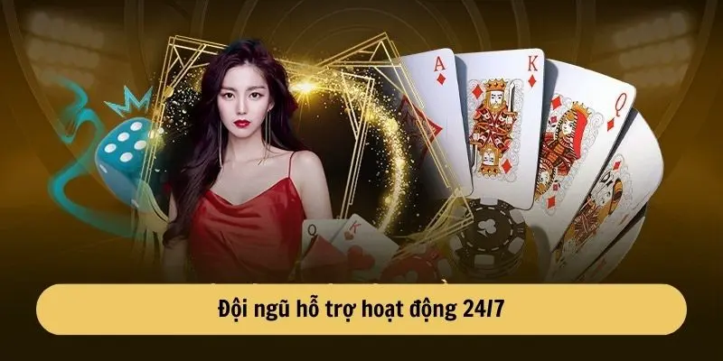 doi-ngu-ho-tro-hoat-dong-24-7-moi-nhat